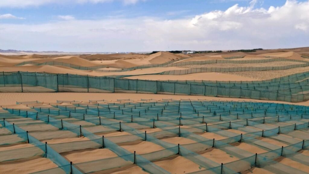 Sand Riser Net Sand Barriers Net for Wind & Sand Control | Young Shade Sail