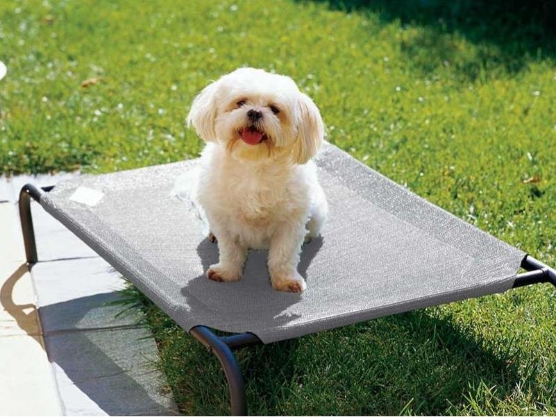 pet bed