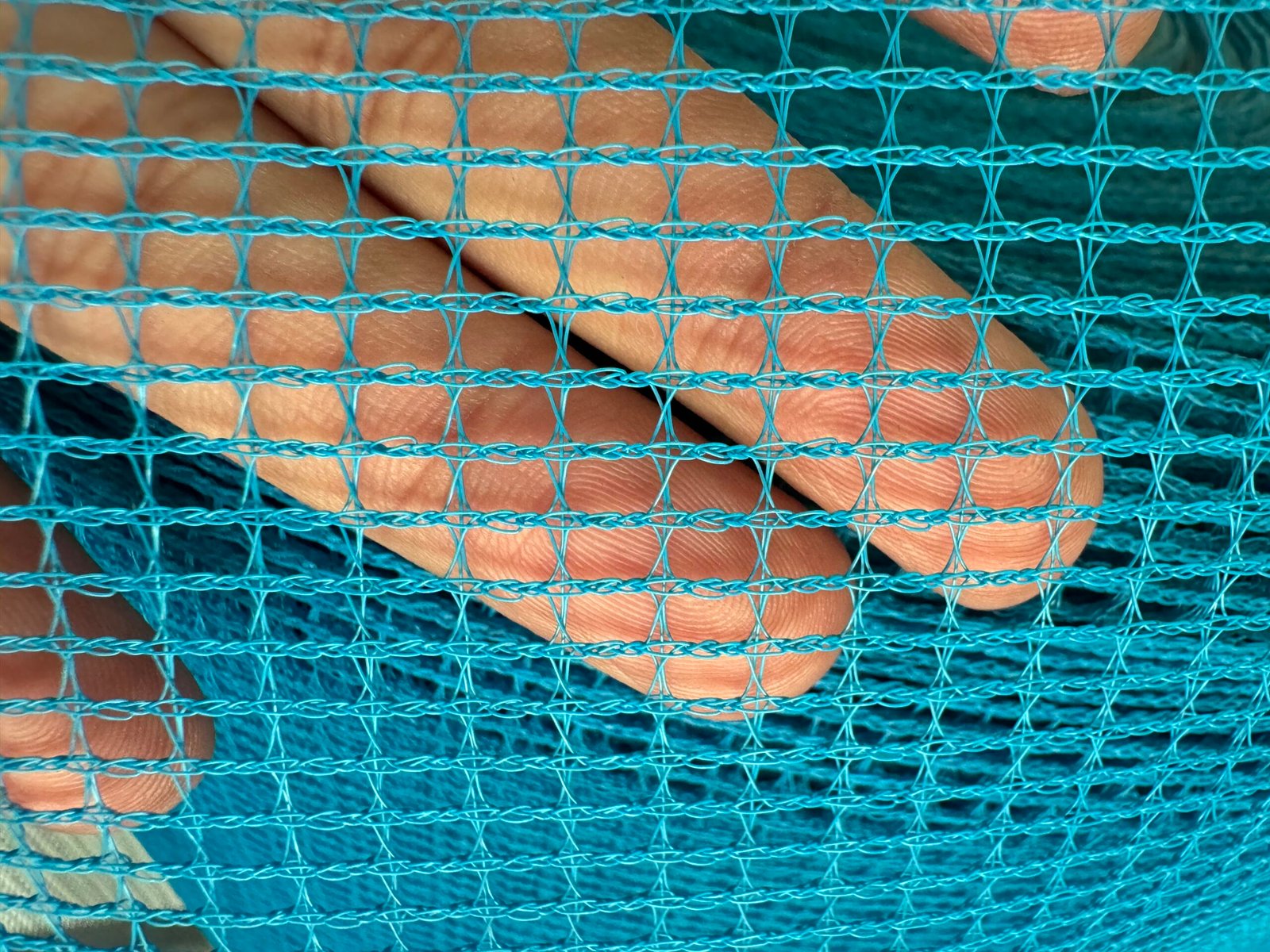 anti insect net