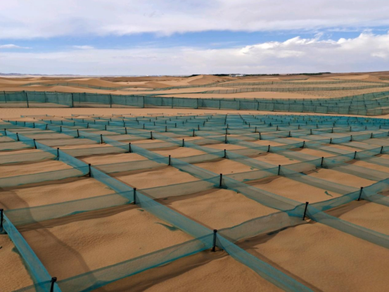 windbreak net