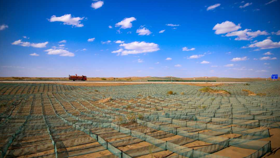Windbreak Net