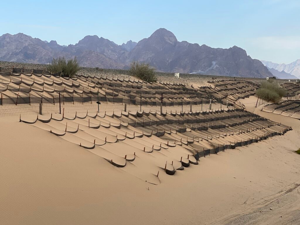 HDPE sand barrier windbreak netting installed along railway corridors in desert regions