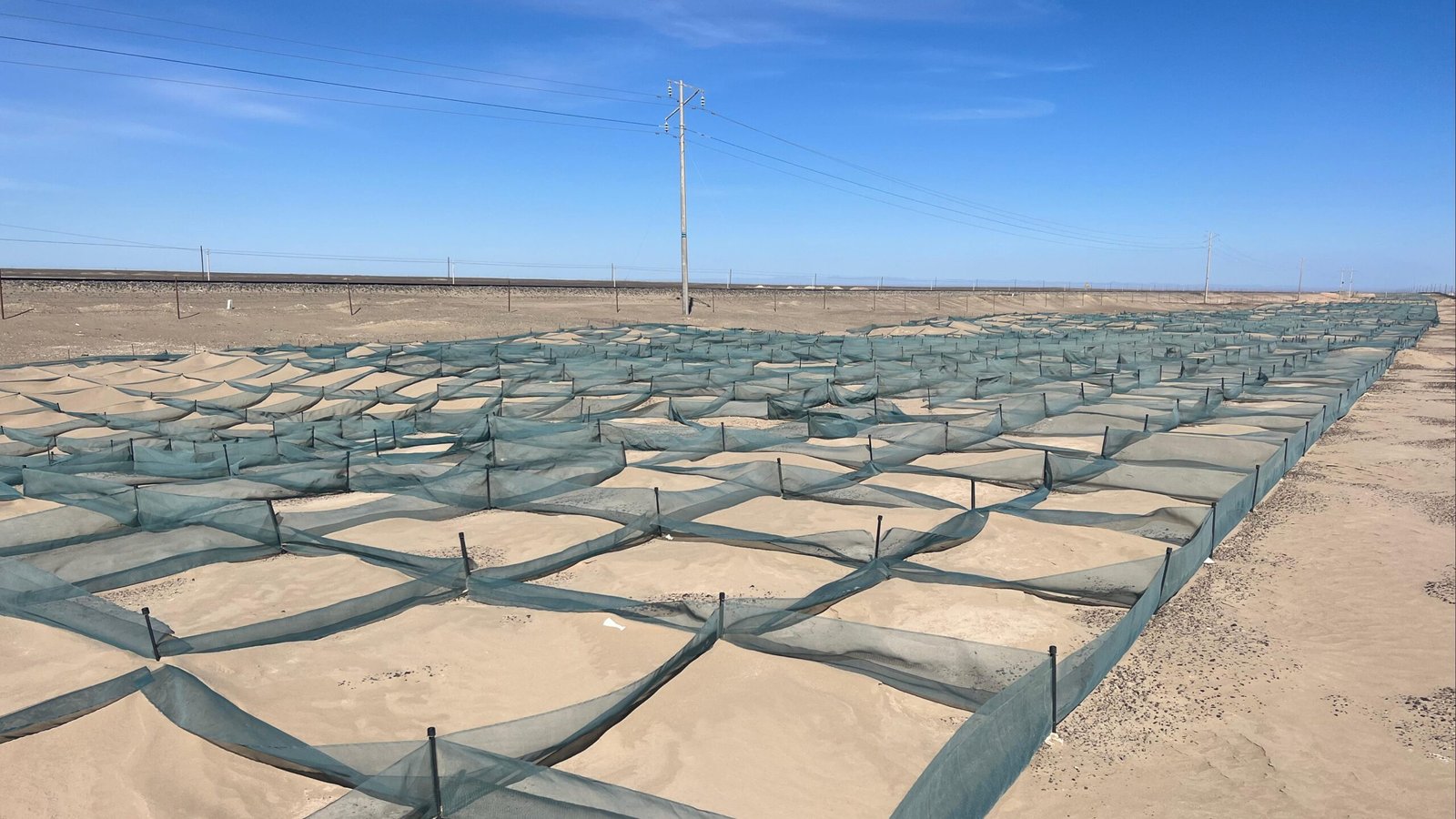 windbreak net