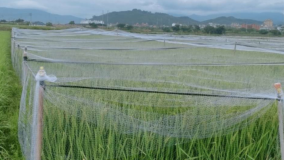 bird netting for garden