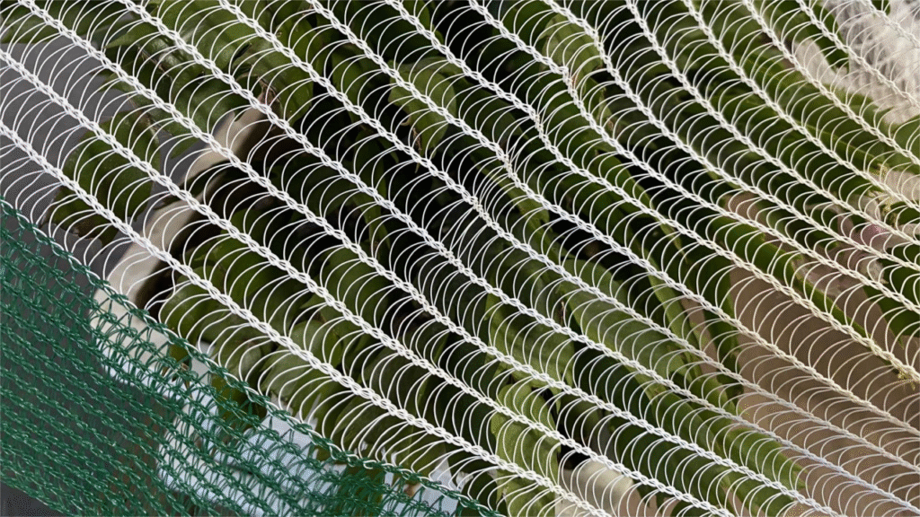 hail netting