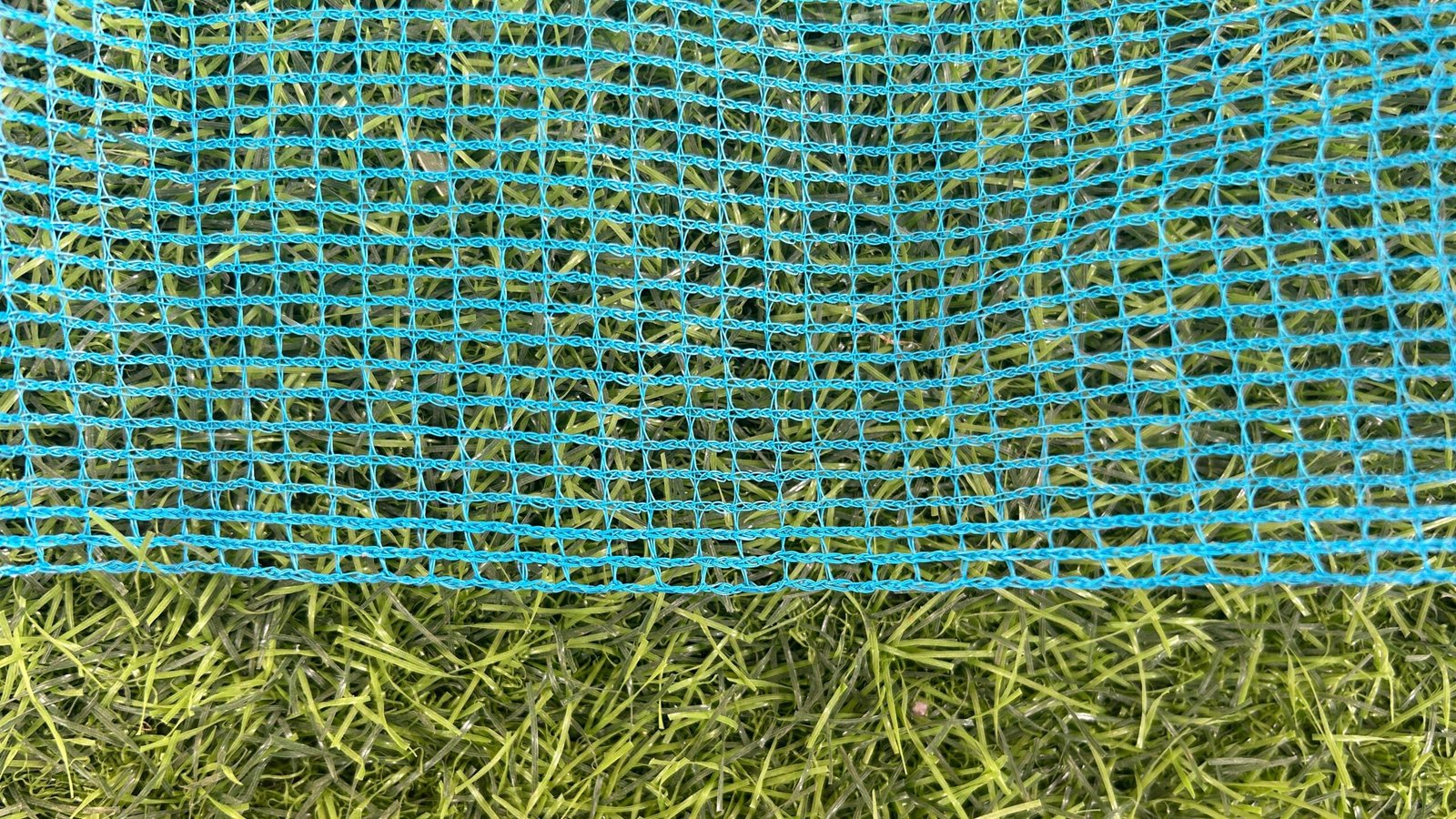 insect netting