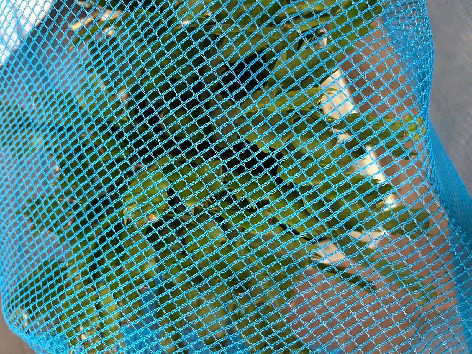 insect netting