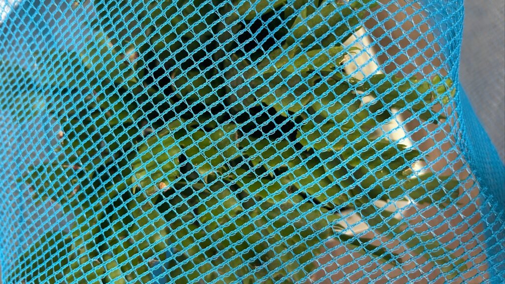 insect netting