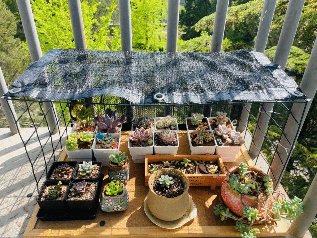 plant shade cloth for vegetable garden