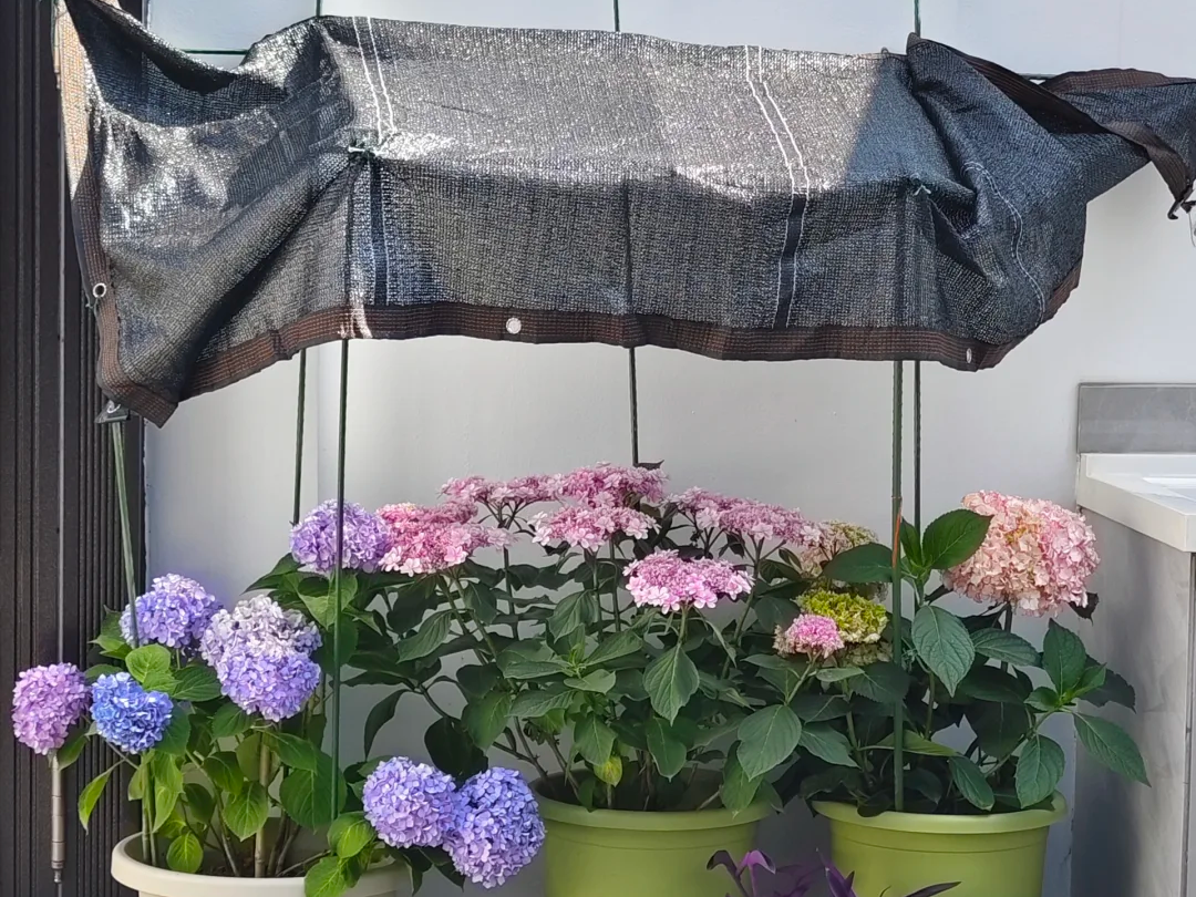 plant shade cloth for garden