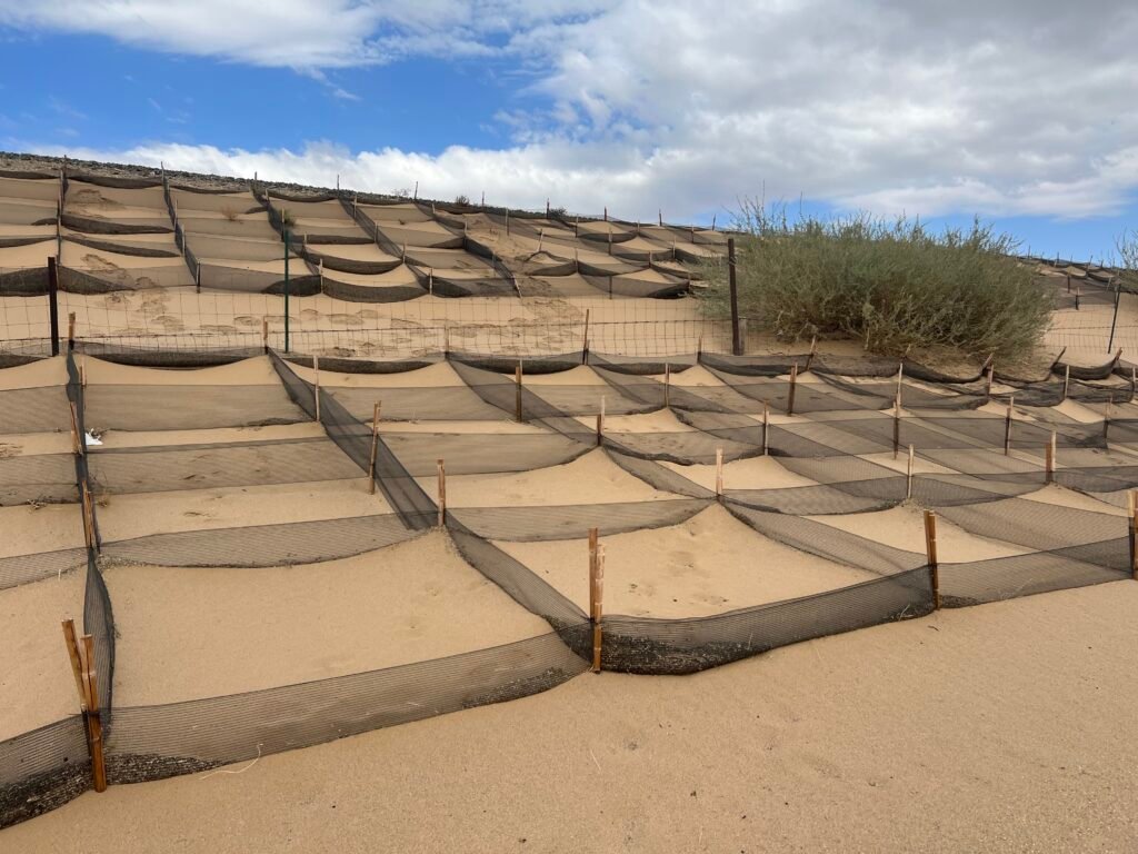 windbreak net for desert region