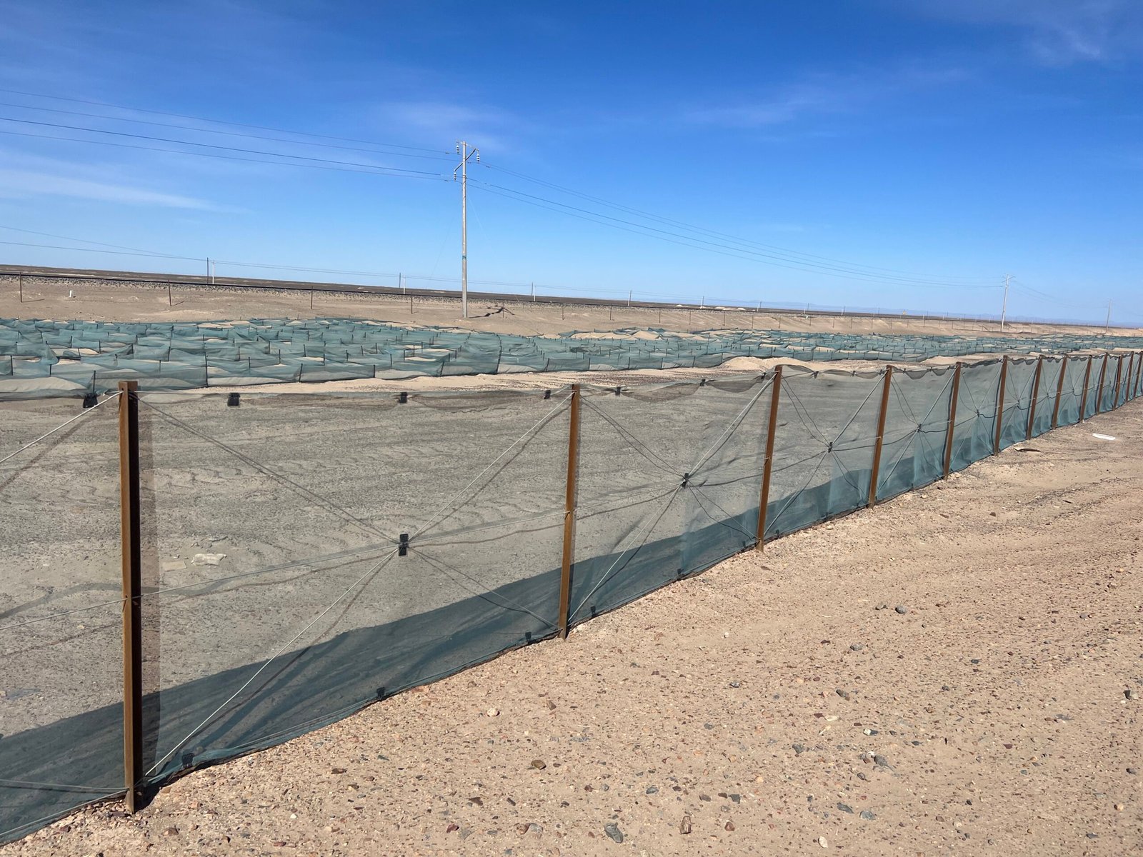 windbreak net work as sand barriers