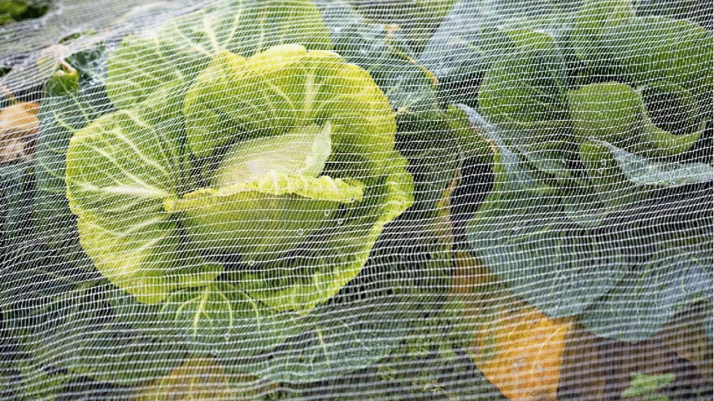 insect net for home garden