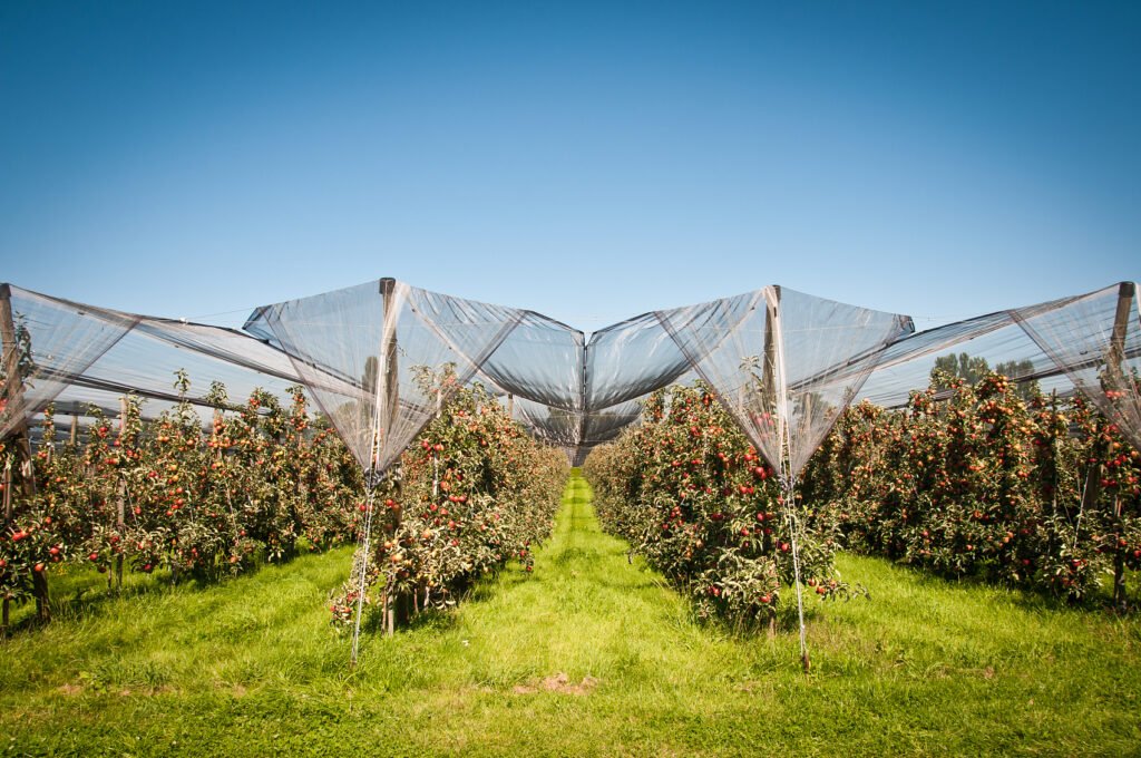 Multi-functional Agricultural Protection Netting Protect Garden