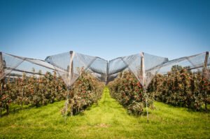 Multi-functional Agricultural Protection Netting Protect Garden