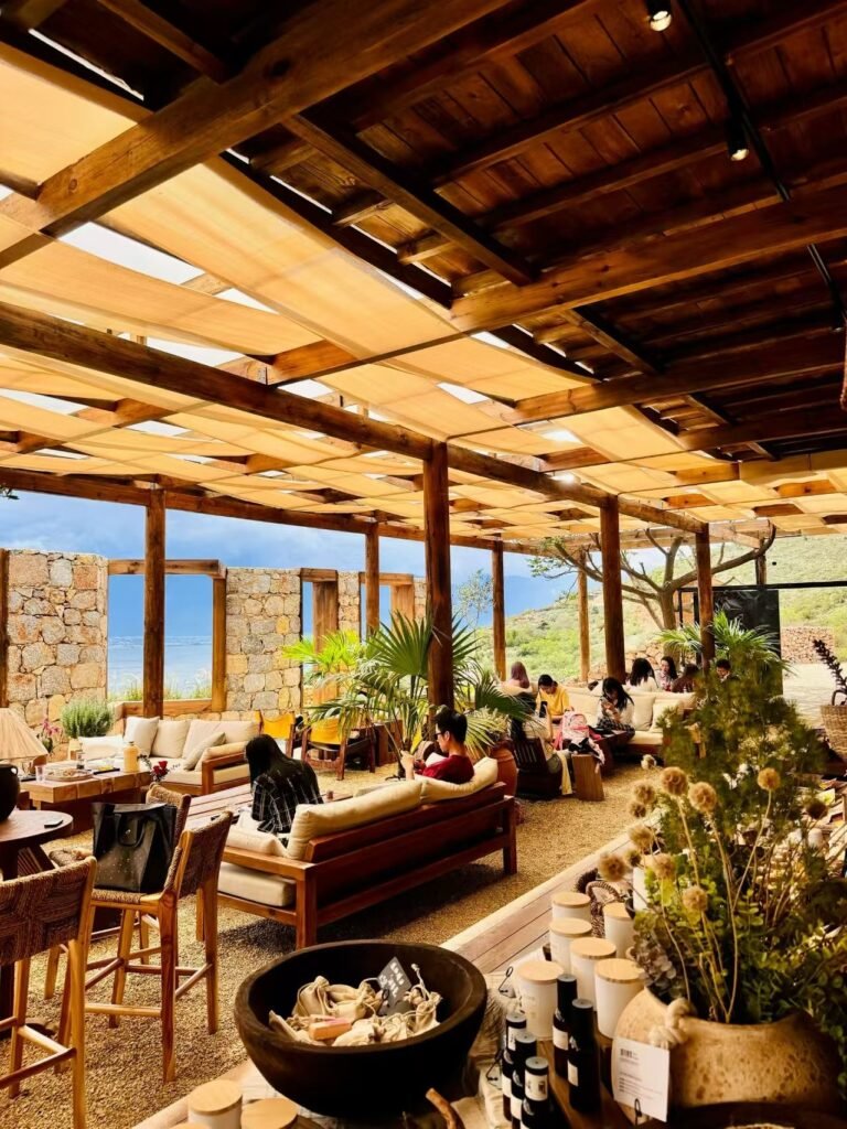 Restaurant and Cafe Shade Ideas, shade sails, retractable shade canopies