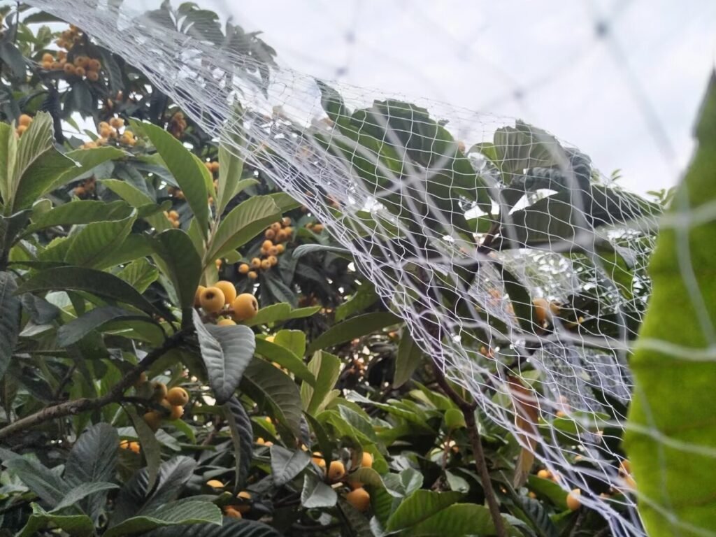bird netting fabric, 15 years lifetime